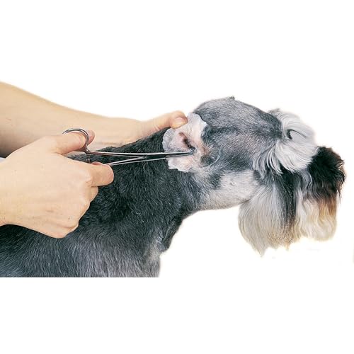 Guardian Gear ProEar control de olor en orejas de perros y cachorros