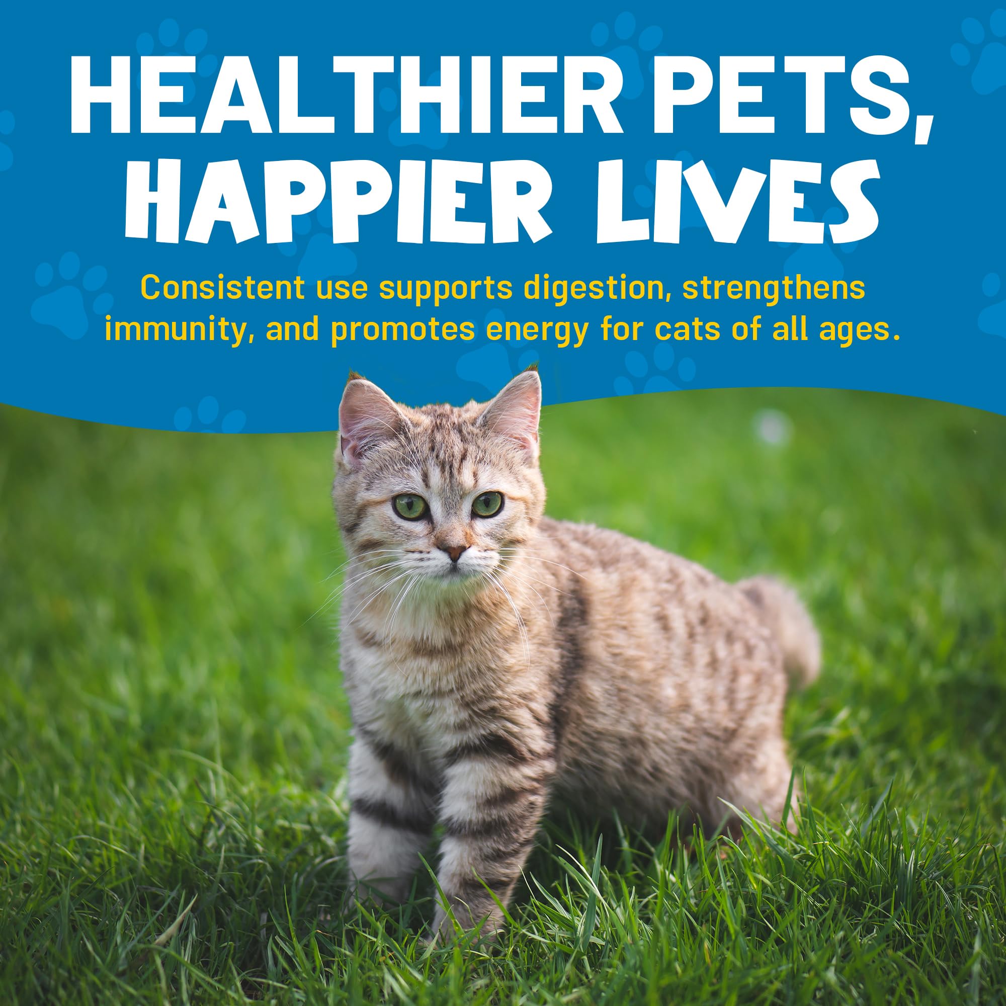 Guardian's Choice Purrbiotics, presentación compacta para estante.