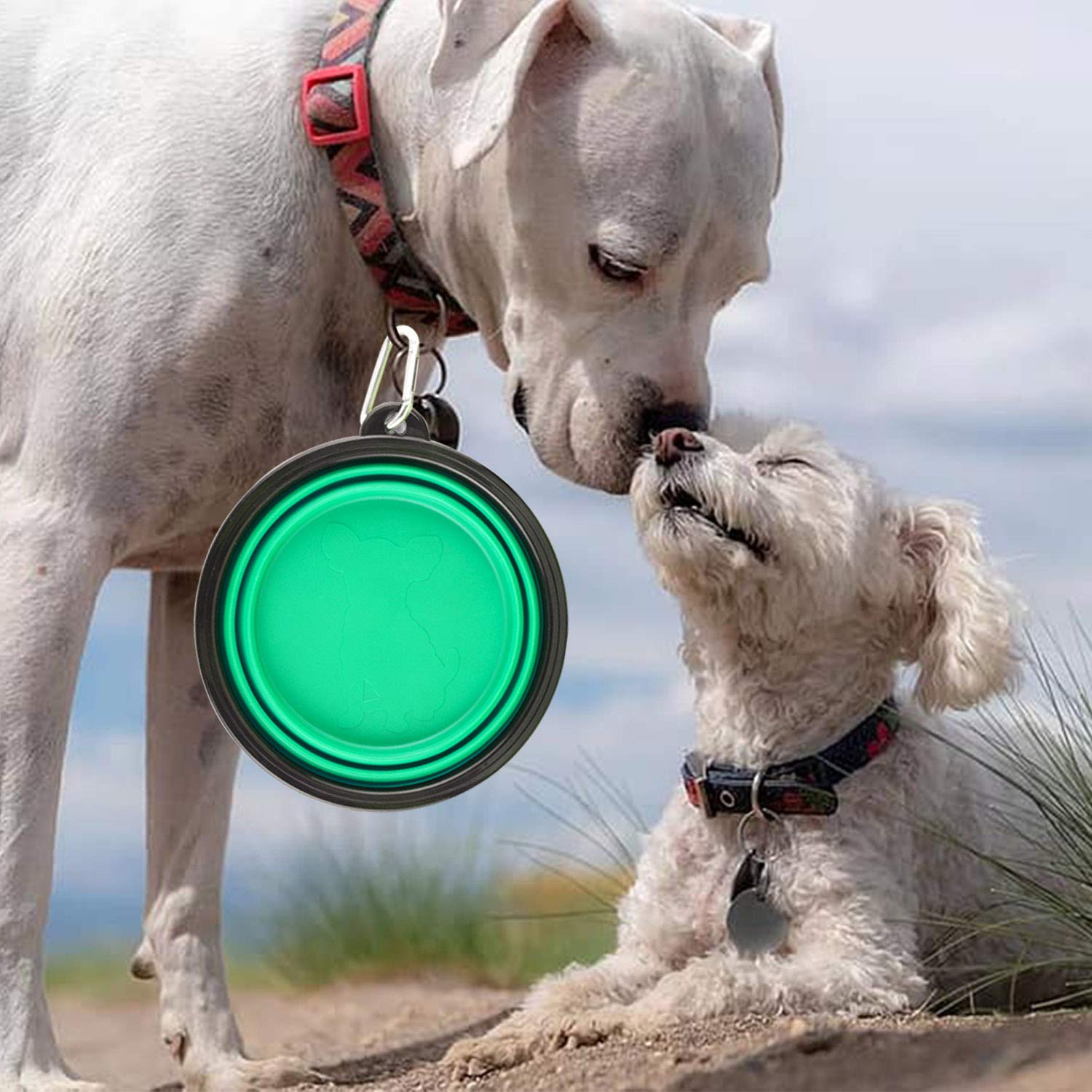 Guardians cuenco plegable para perro de 34oz en verde claro, perfecto para rutas