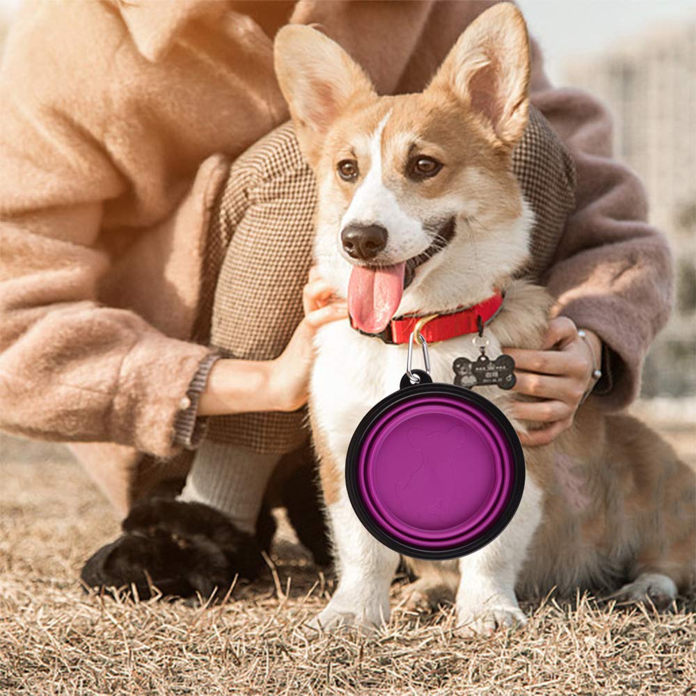 Guardians uso exterior camping, cuenco plegable listo para beber y comer