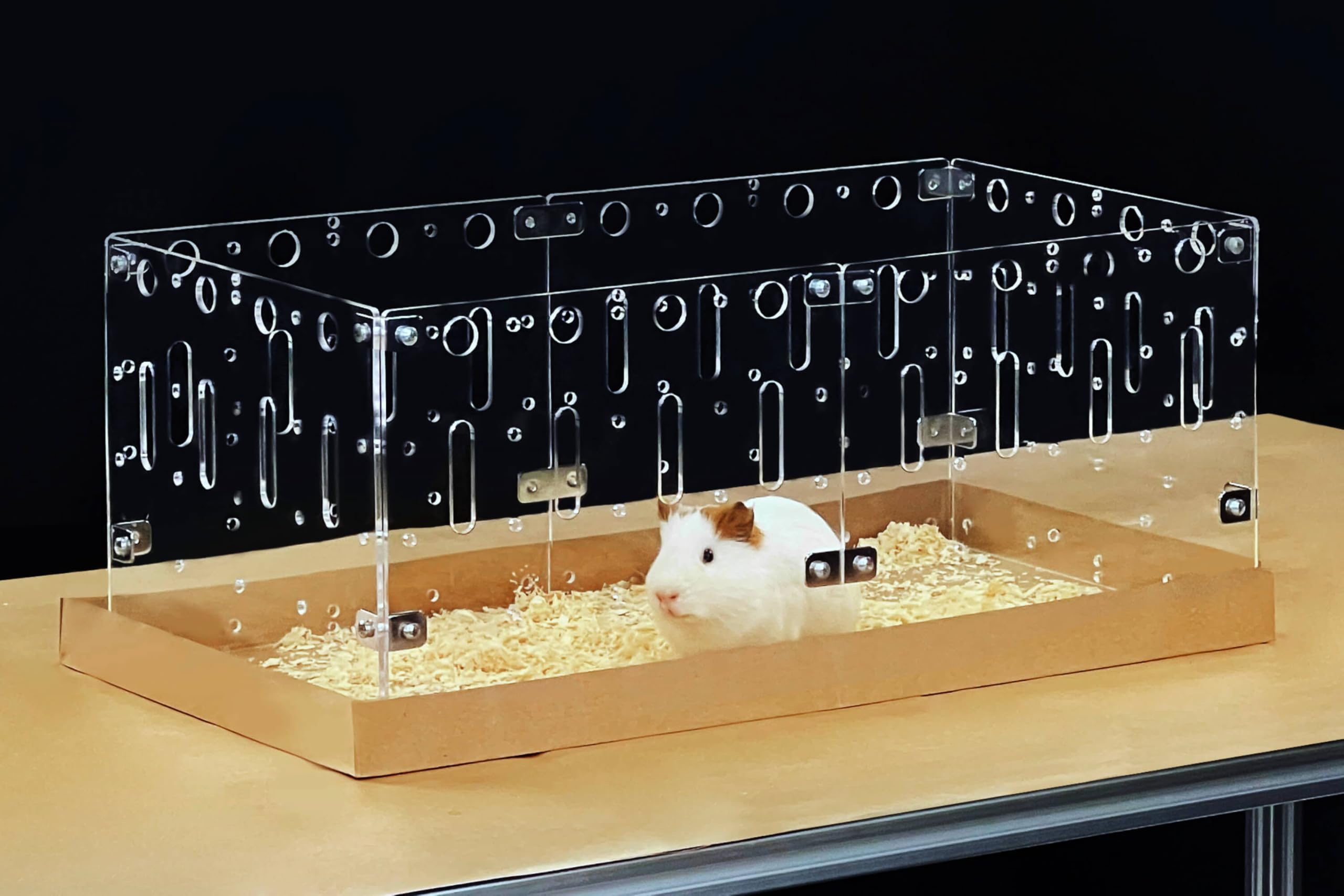 GuineaLoft Model-C2: caja acrílica frontal para observación clara del conejillo de indias