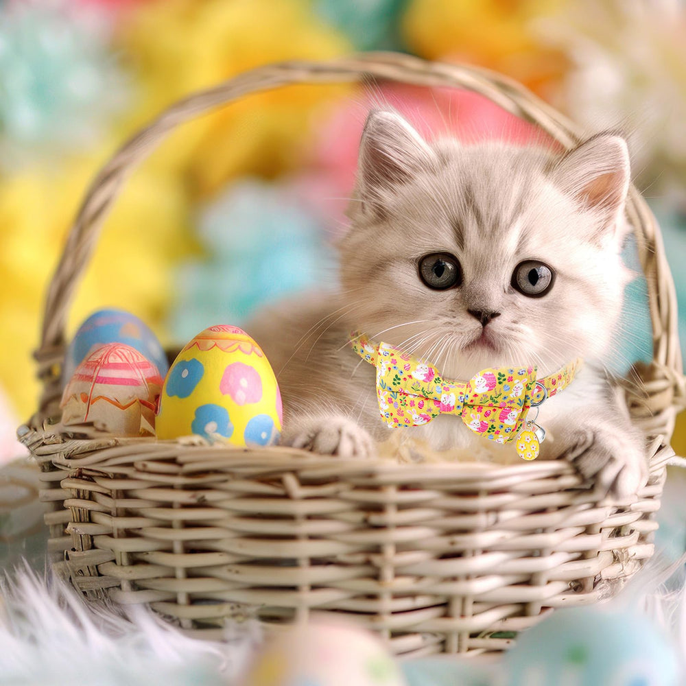 Regalo Guiqulai para gatitos en Pascua.