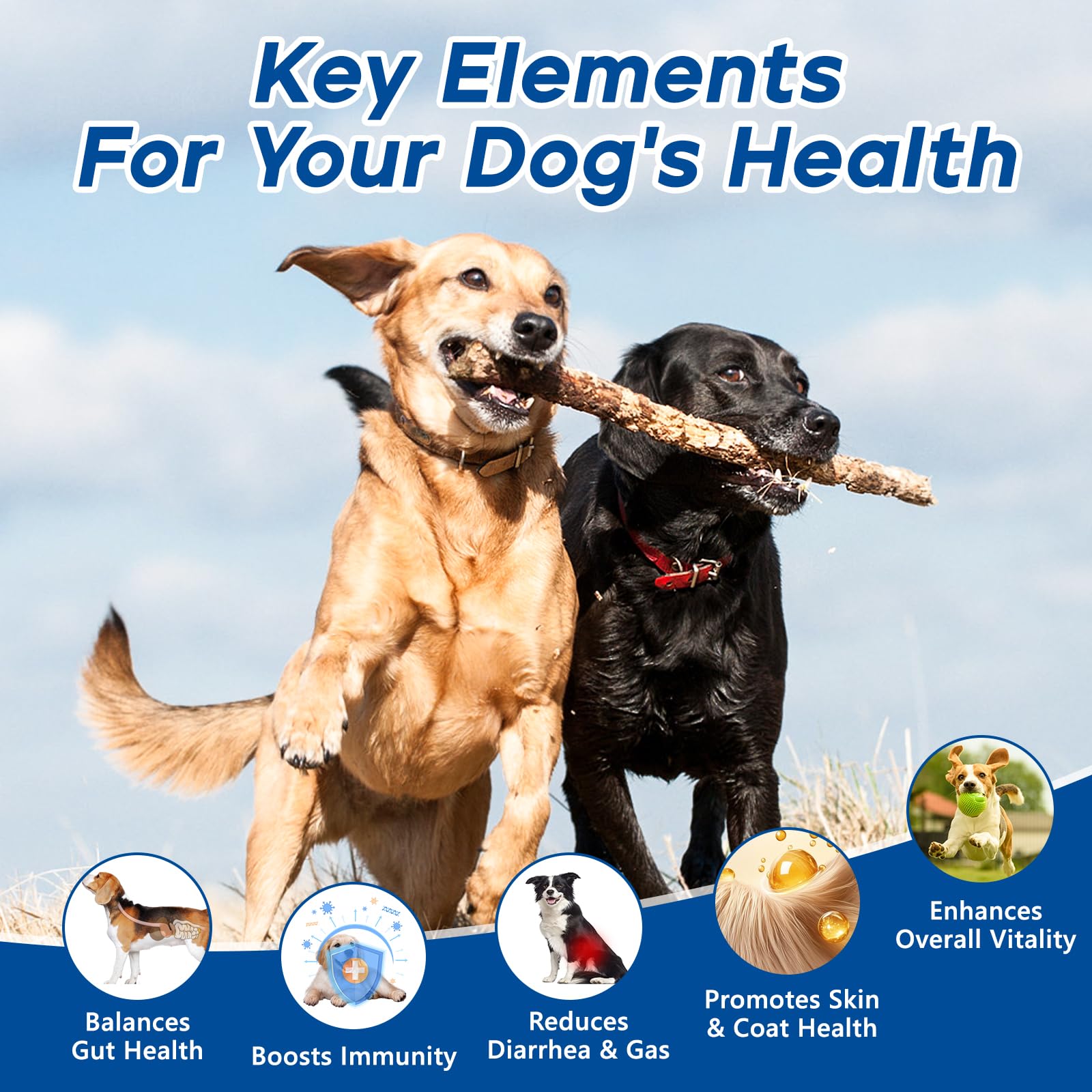 GuruAmi Probiotics para perros, cuidado de la piel y pelaje.