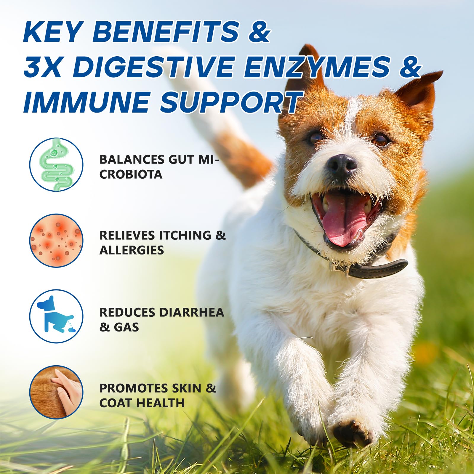 GuruAmi Probiotics para perros, ingredientes clave y beneficios nutricionales.