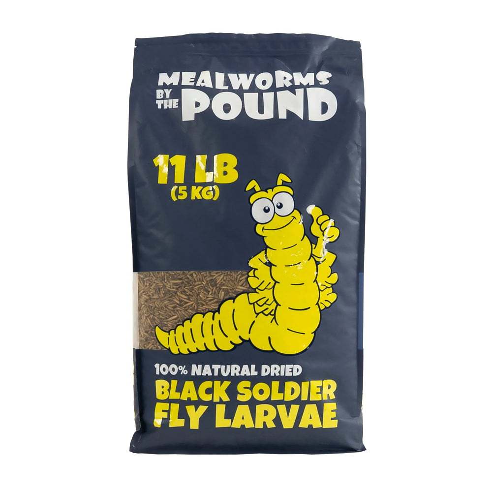 Gusanos de harina por libra: larvas mosca soldado para reptiles.
