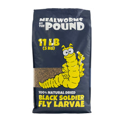 Gusanos de harina por libra: larvas mosca soldado para reptiles.