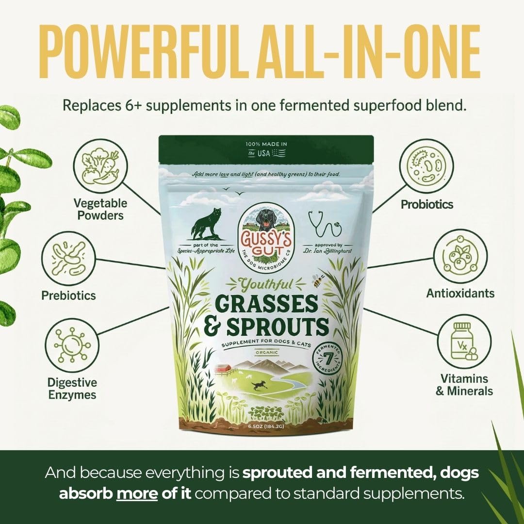 Gussy's Gut mezcla fermentada de granos: mayor biodisponibilidad para nutrientes y energía.
