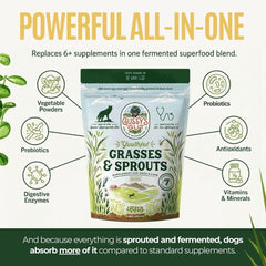 Gussy's Gut mezcla fermentada de granos: mayor biodisponibilidad para nutrientes y energía.