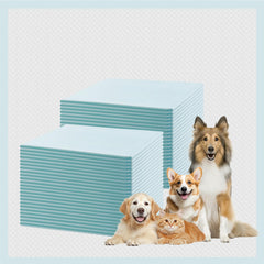 GWT Almohadillas para Cachorros 22x22, alta absorbencia para entrenamiento y protección del suelo.