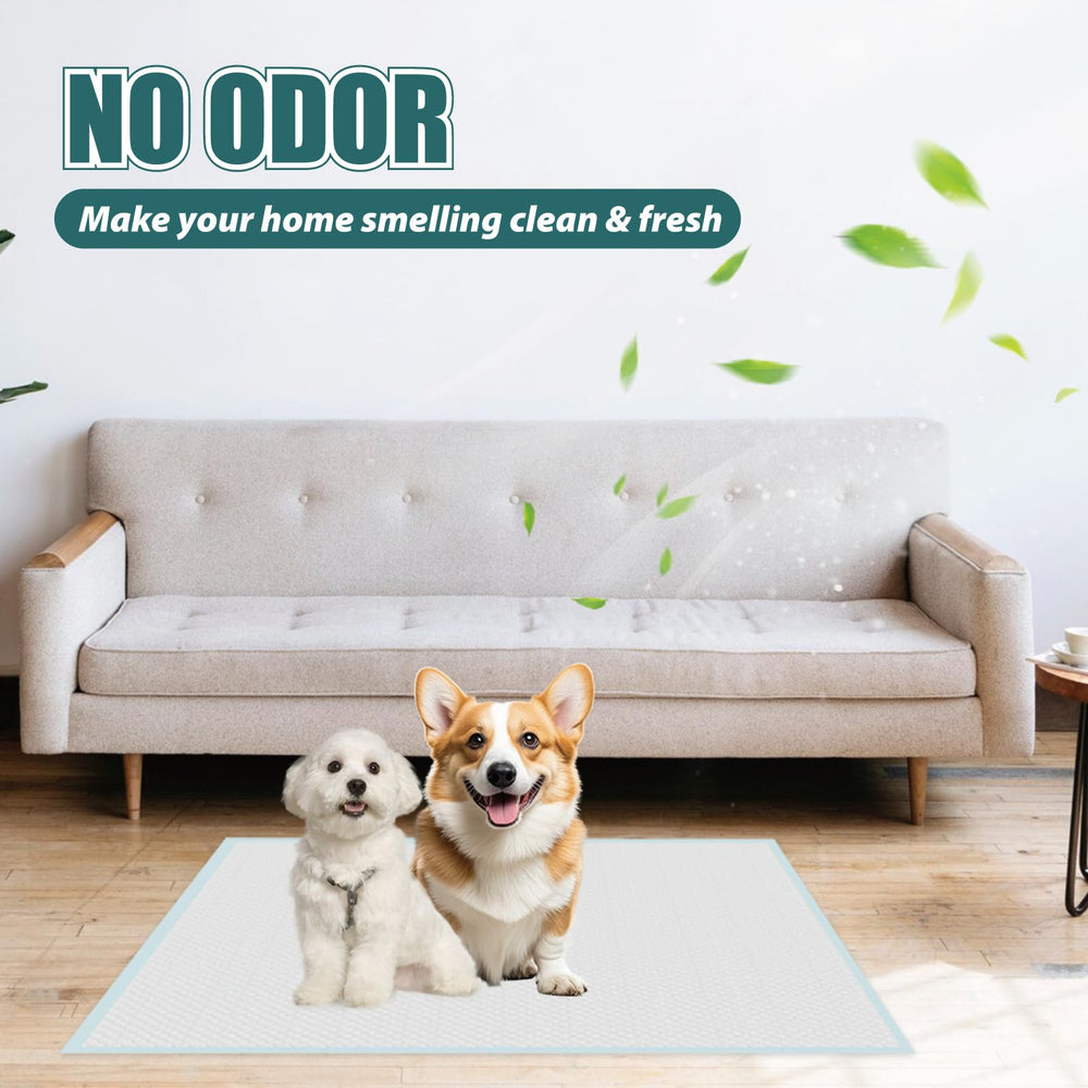 GWT Almohadillas para Cachorros, protección extra para perros grandes 22x22.