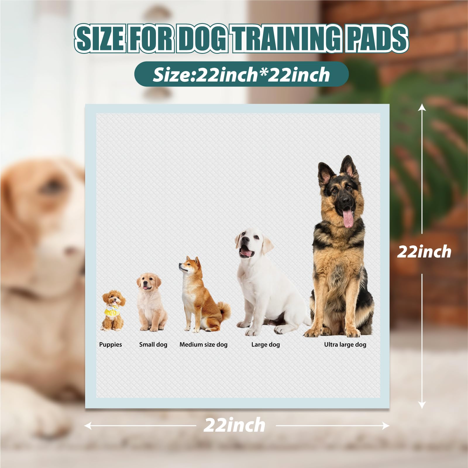 GWT Almohadillas para Cachorros, prueba de fugas para un uso limpio.
