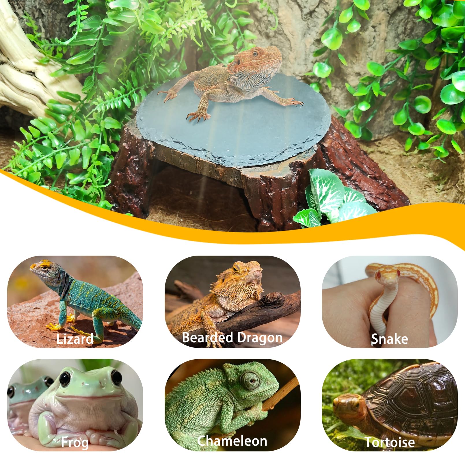 GXSDJ decoracion de habitat natural en resina ecologica, duradera para reptiles.