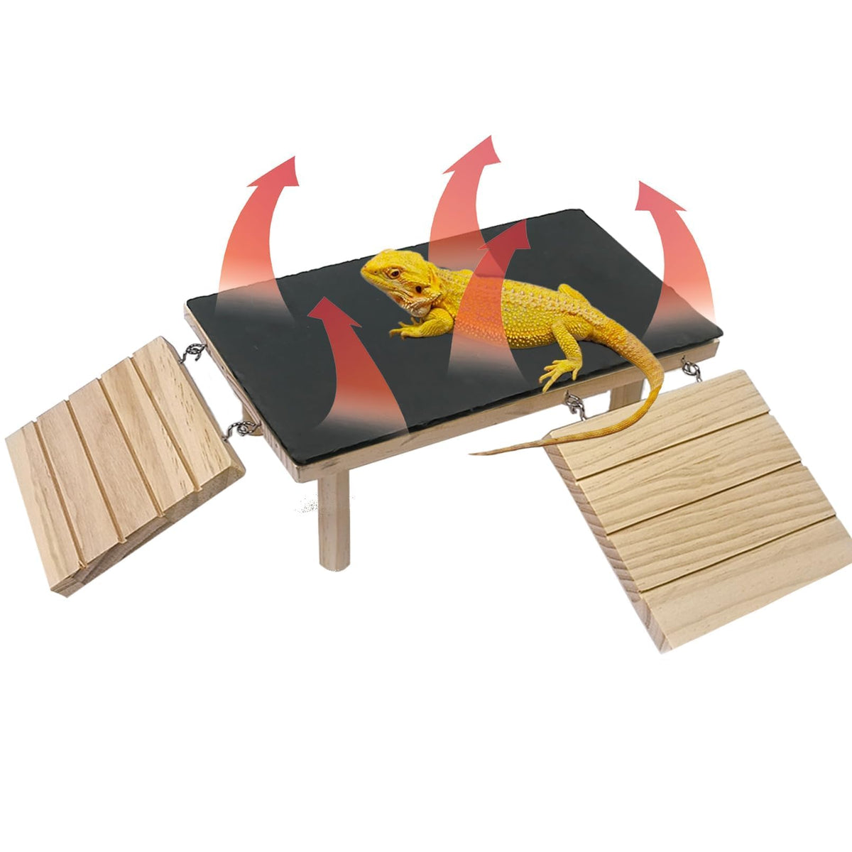 Gxsdj plataforma de baño de sol para reptiles en madera, ideal para tomar el sol con seguridad.