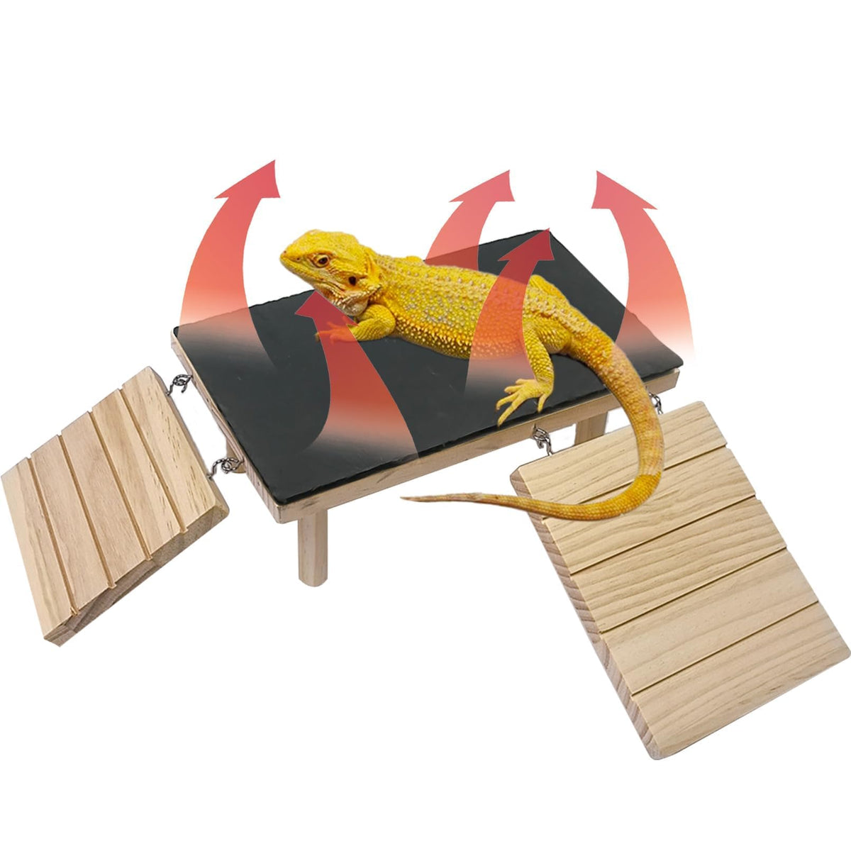 Gxsdj plataforma de calentamiento para reptiles: adecuada para exposición al calor diario.