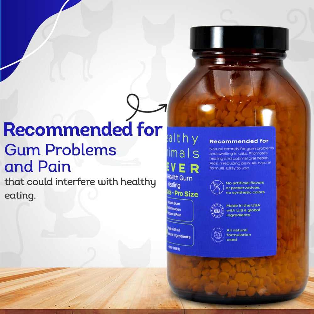 HA4E ideal para hogares con varios gatos, mayor durabilidad.