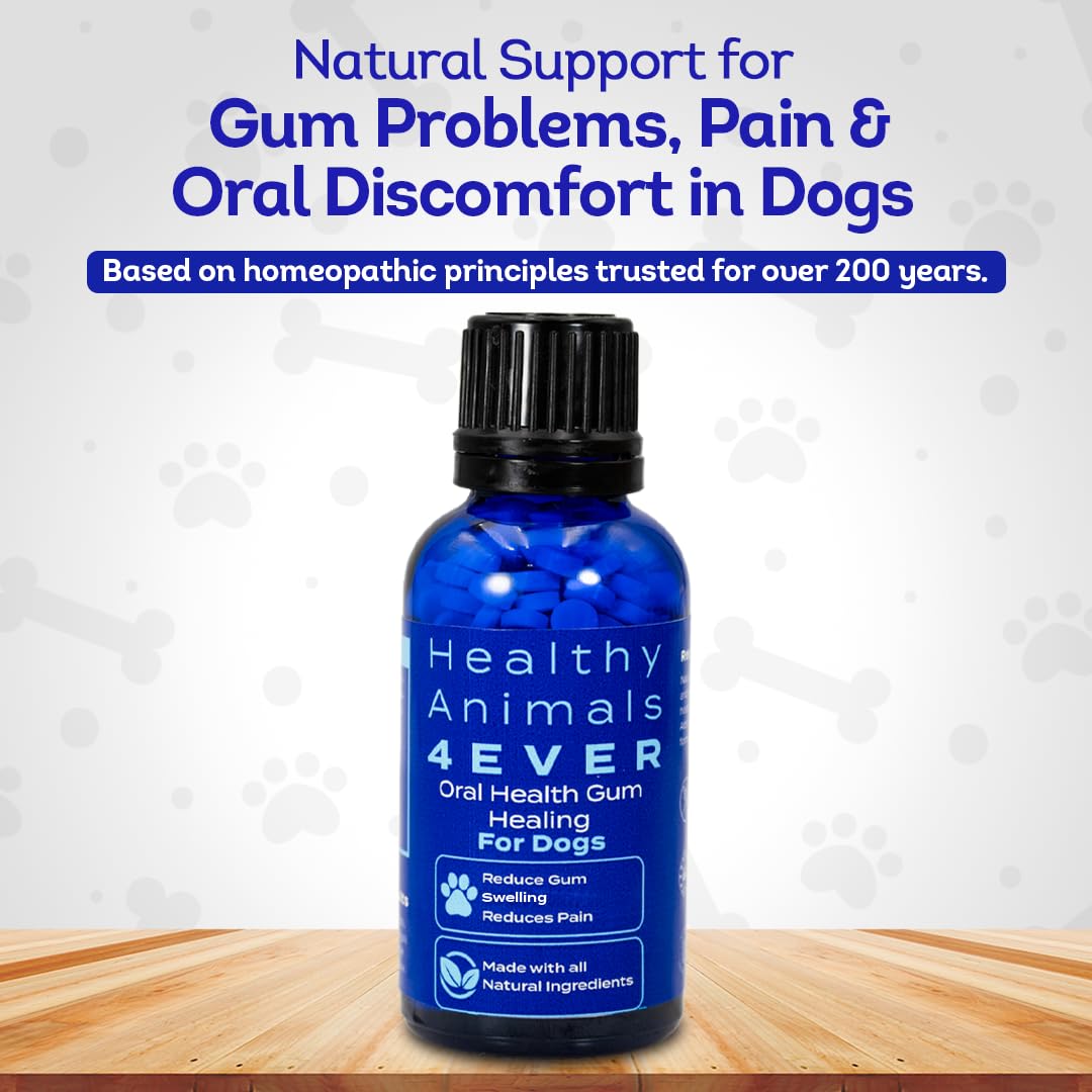 HA4E perro bebiendo agua con pastillas homeopáticas para disolución fácil