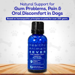 HA4E perro bebiendo agua con pastillas homeopáticas para disolución fácil