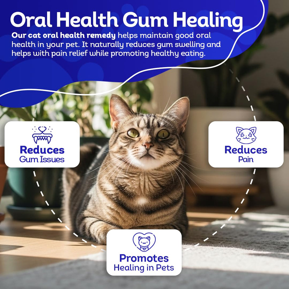 HA4E producto seguro y natural para gatos, libre de aditivos.