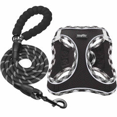 Harnais Haapaw et laisse ensemble pour balades simples et confortables.