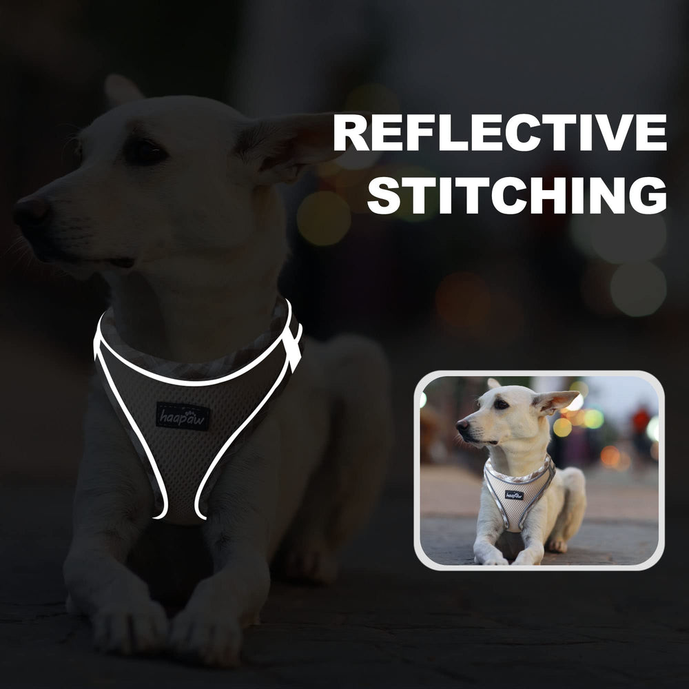 Conçu pour petits à moyens chiens – usage quotidien pratique.
