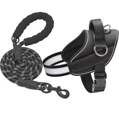 Arnés Haapaw resistente de nylon para perros grandes, paseos duraderos.