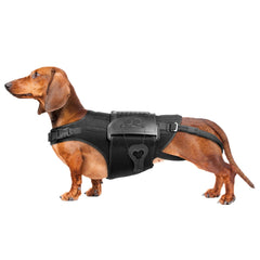 Arnés soporte espalda de HAGGEMI para perro con IVDD brinda mayor estabilidad al caminar.