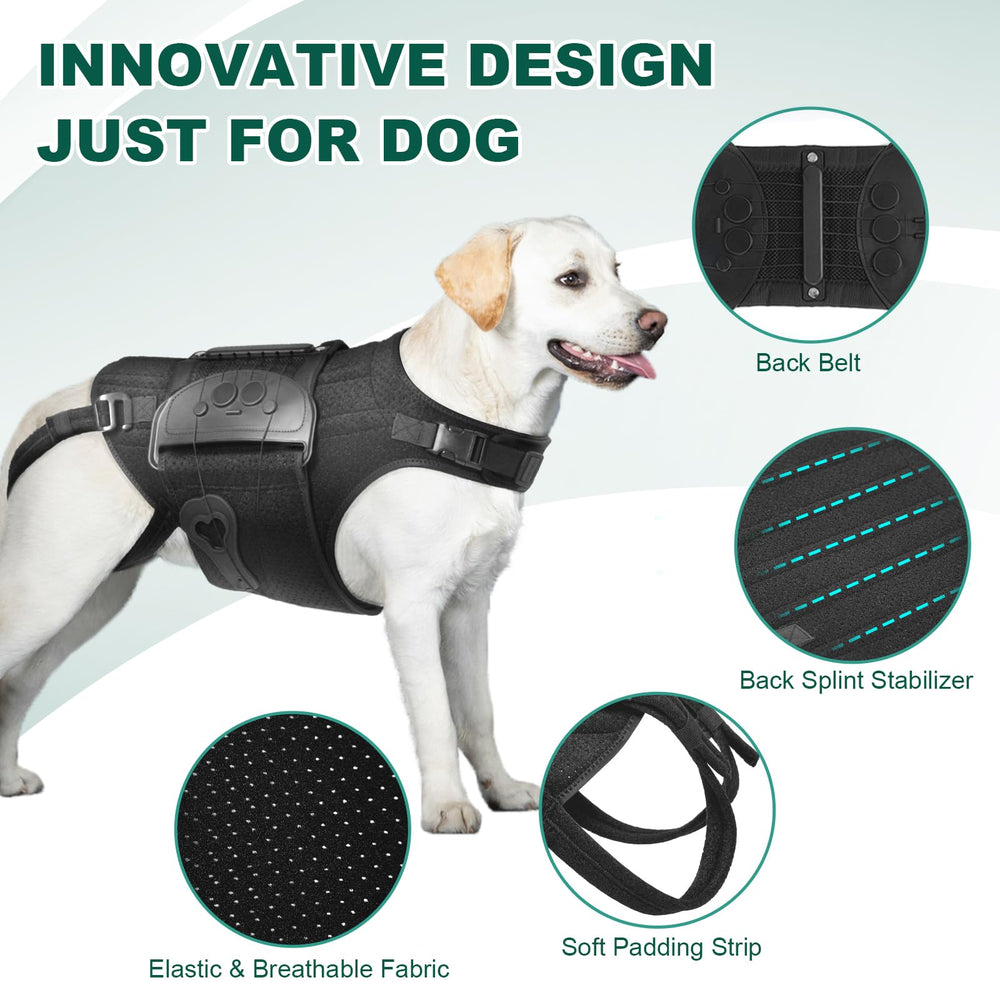 Diseño de correas ajustables HAGGEMI mantiene el arnés en posición estable.
