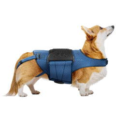 HAGGEMI faja espalda perro IVDD ofrece soporte estable para la columna.