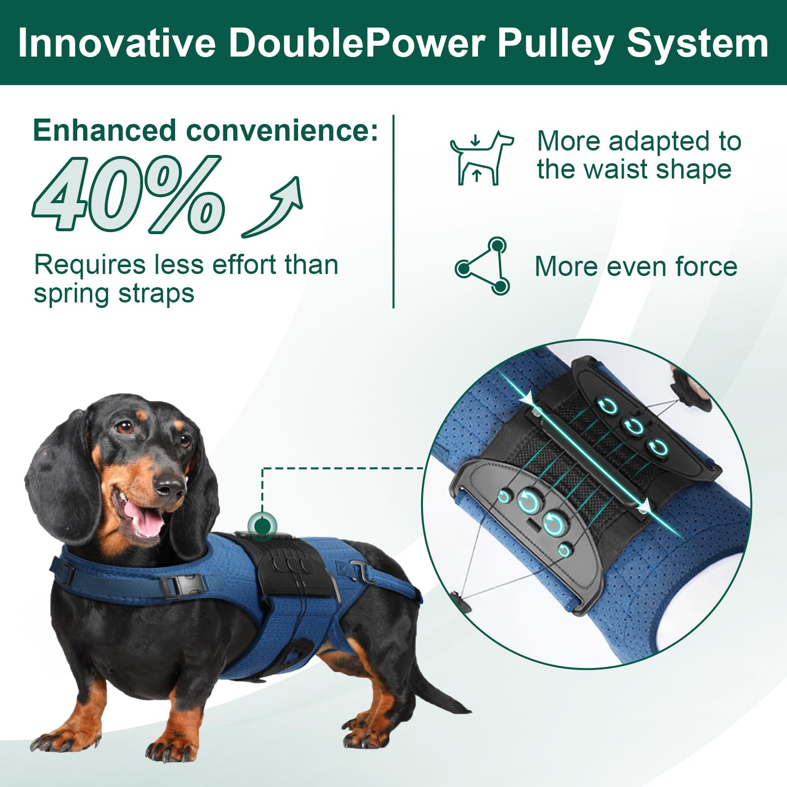 HAGGEMI faja espalda para perros con tejido transpirable que reduce humedad.