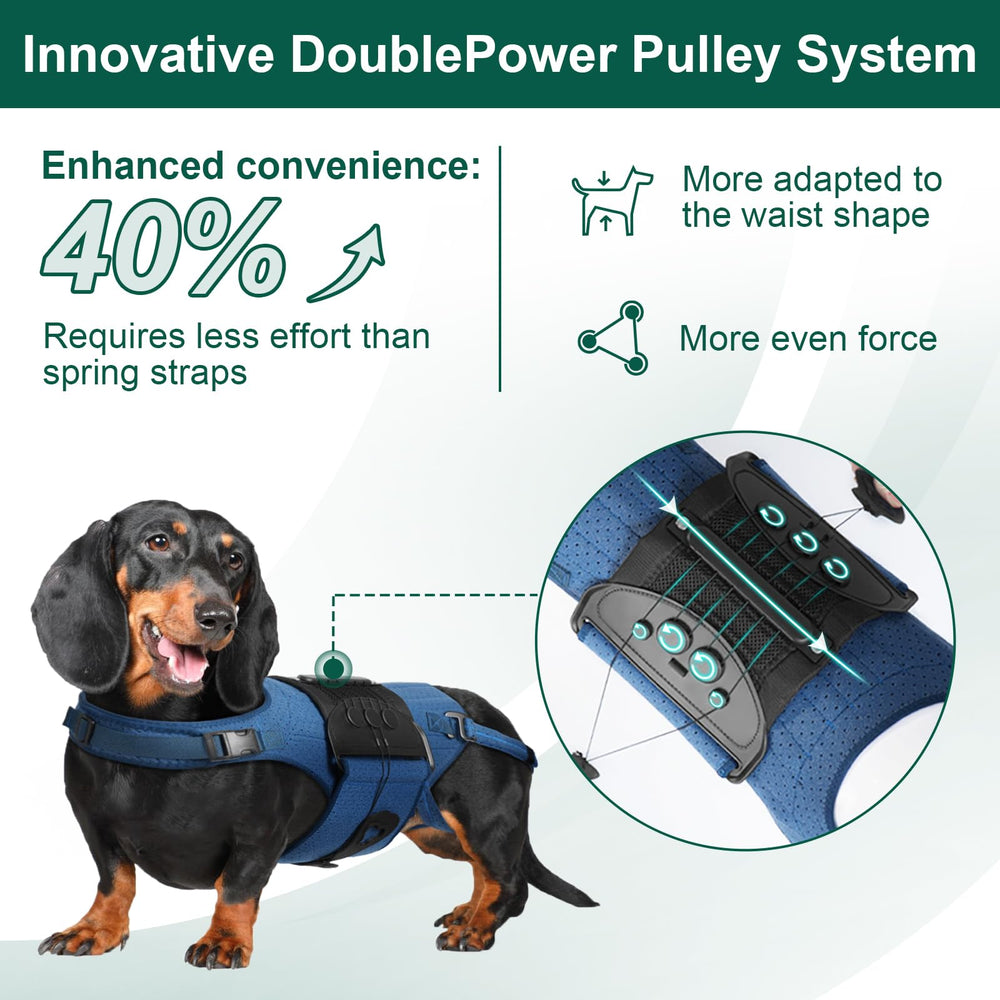 HAGGEMI faja espalda para perros con tejido transpirable que reduce humedad.