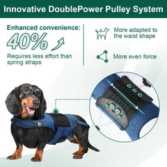 HAGGEMI faja espalda para perros con tejido transpirable que reduce humedad.
