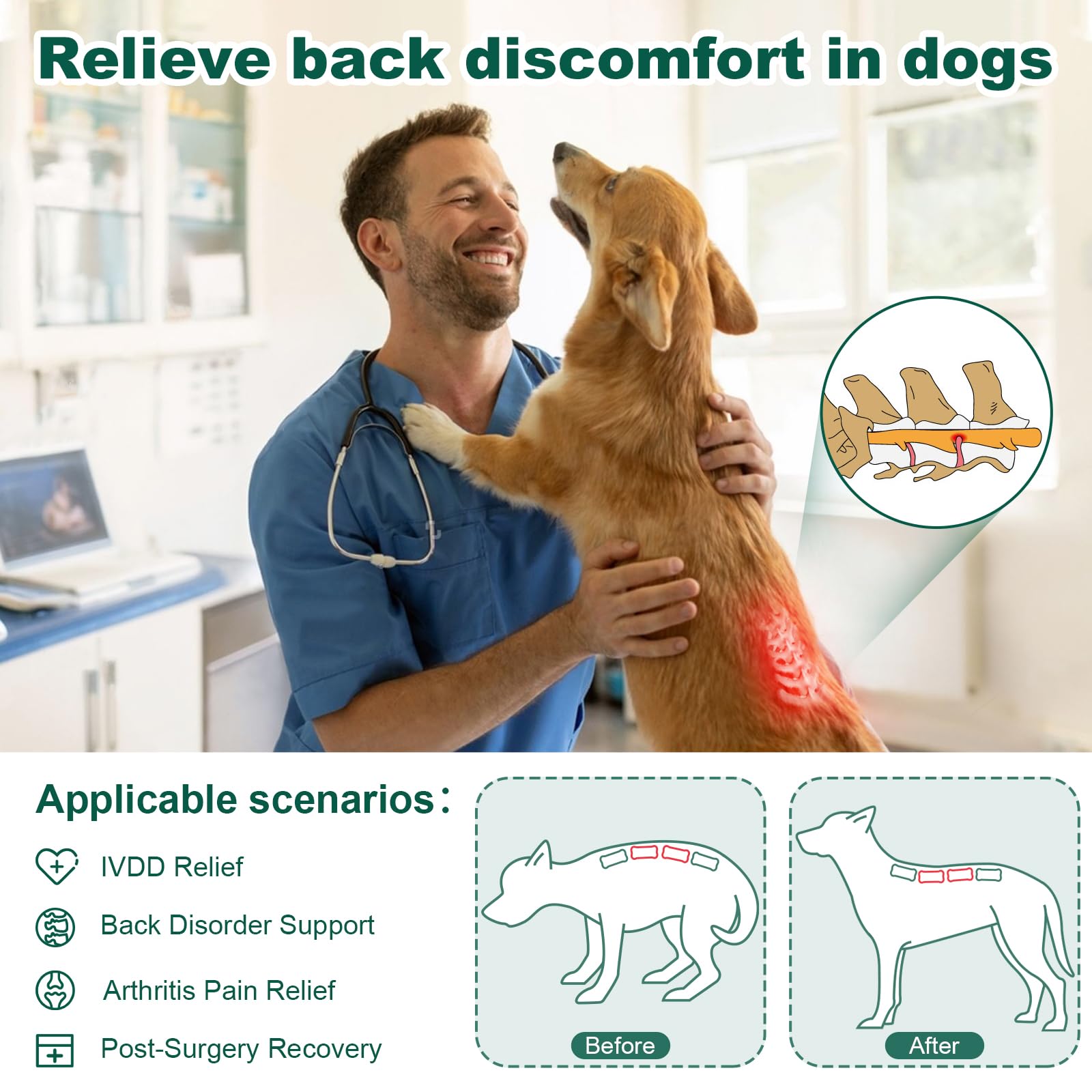 HAGGEMI soporte espalda perro con correas dobles para ajuste cómodo y seguro.