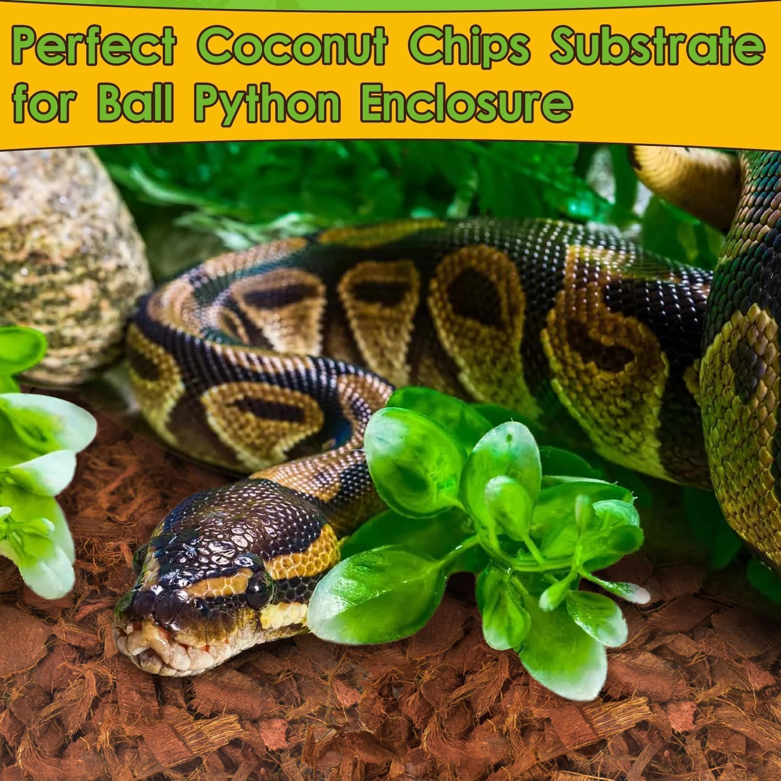 Halatool ambiente natural, mejora la experiencia en terrario para reptiles.