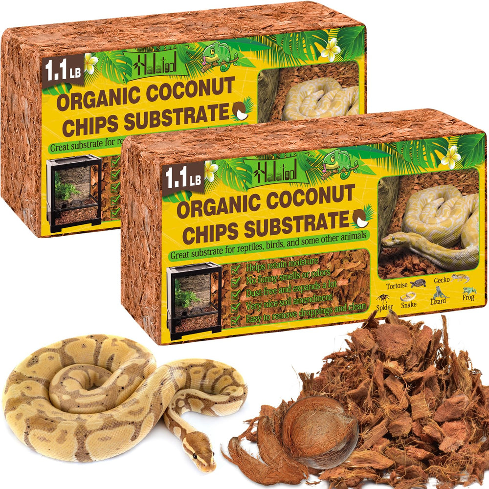 Halatool bloques de coco prensados, base estable para terrarios y especies excavadoras.