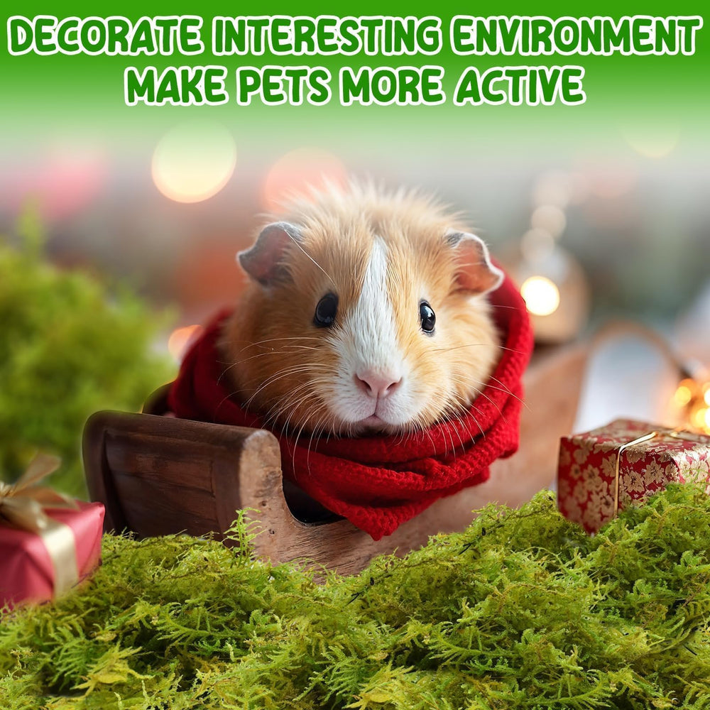 Halatool sin polvo para mascotas sensibles, favorece la salud respiratoria.