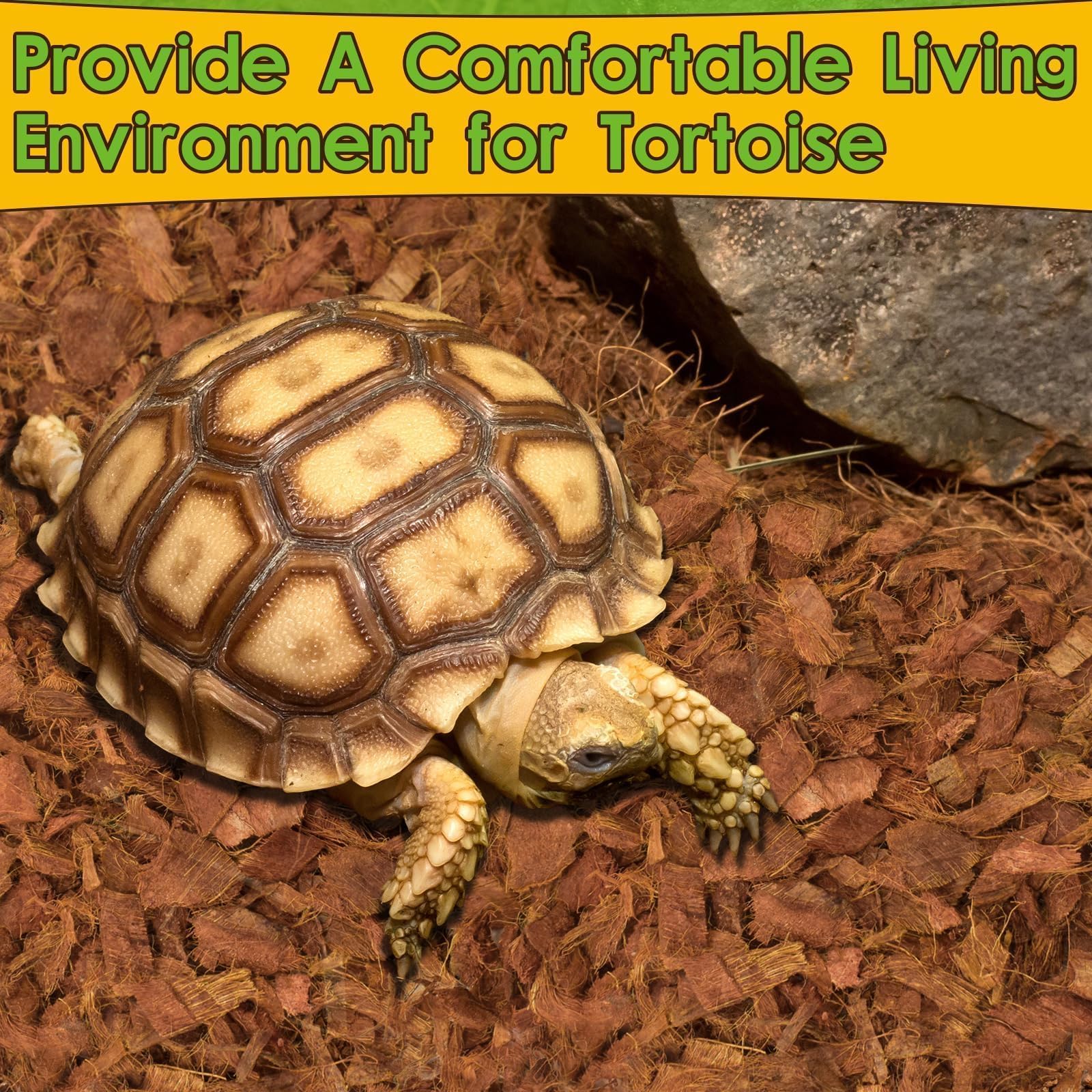 Halatool chips de coco suave, bordes seguros para reptiles y geckos.