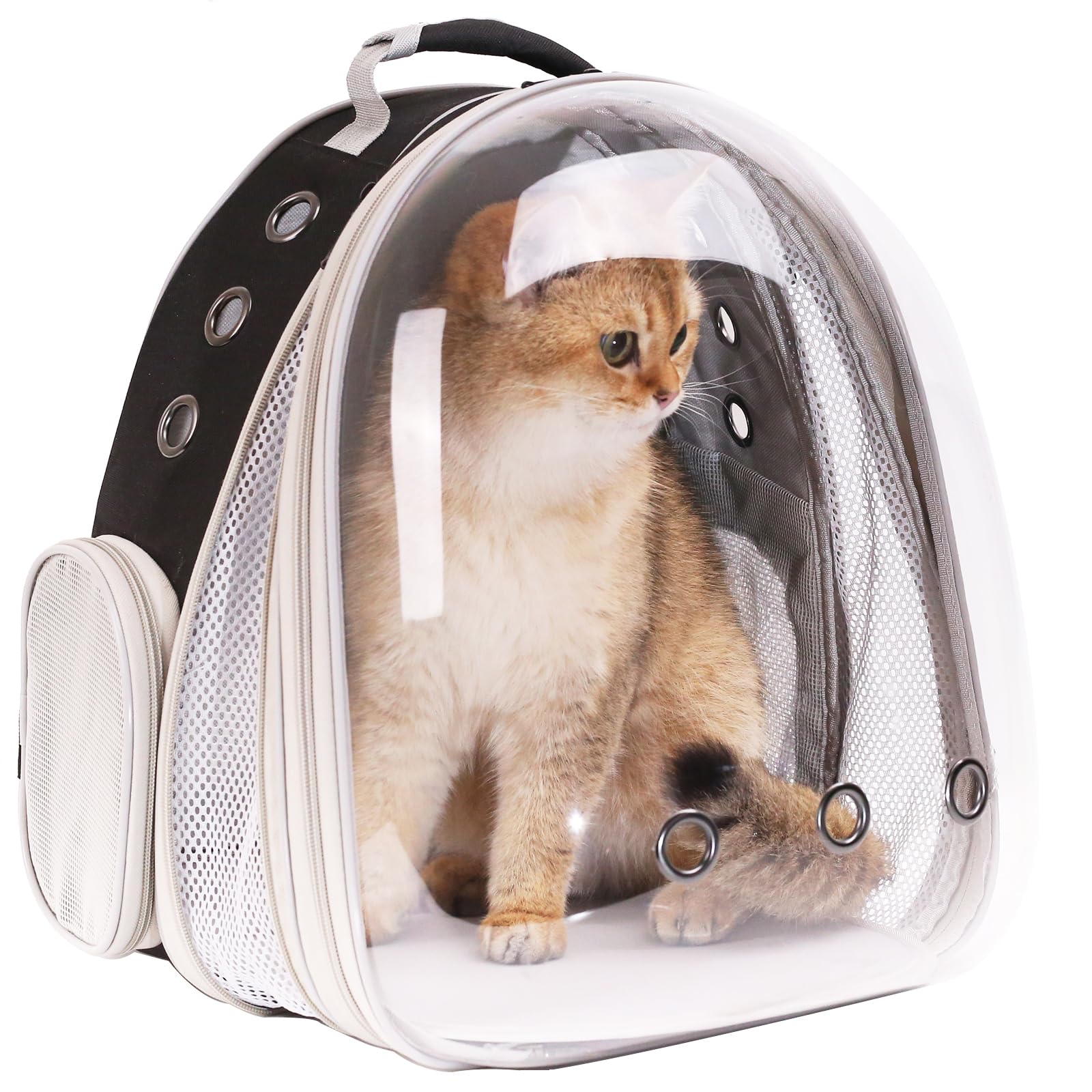 halinfer cartera-gato-paseos-diarios-facil uso cómodo y práctico