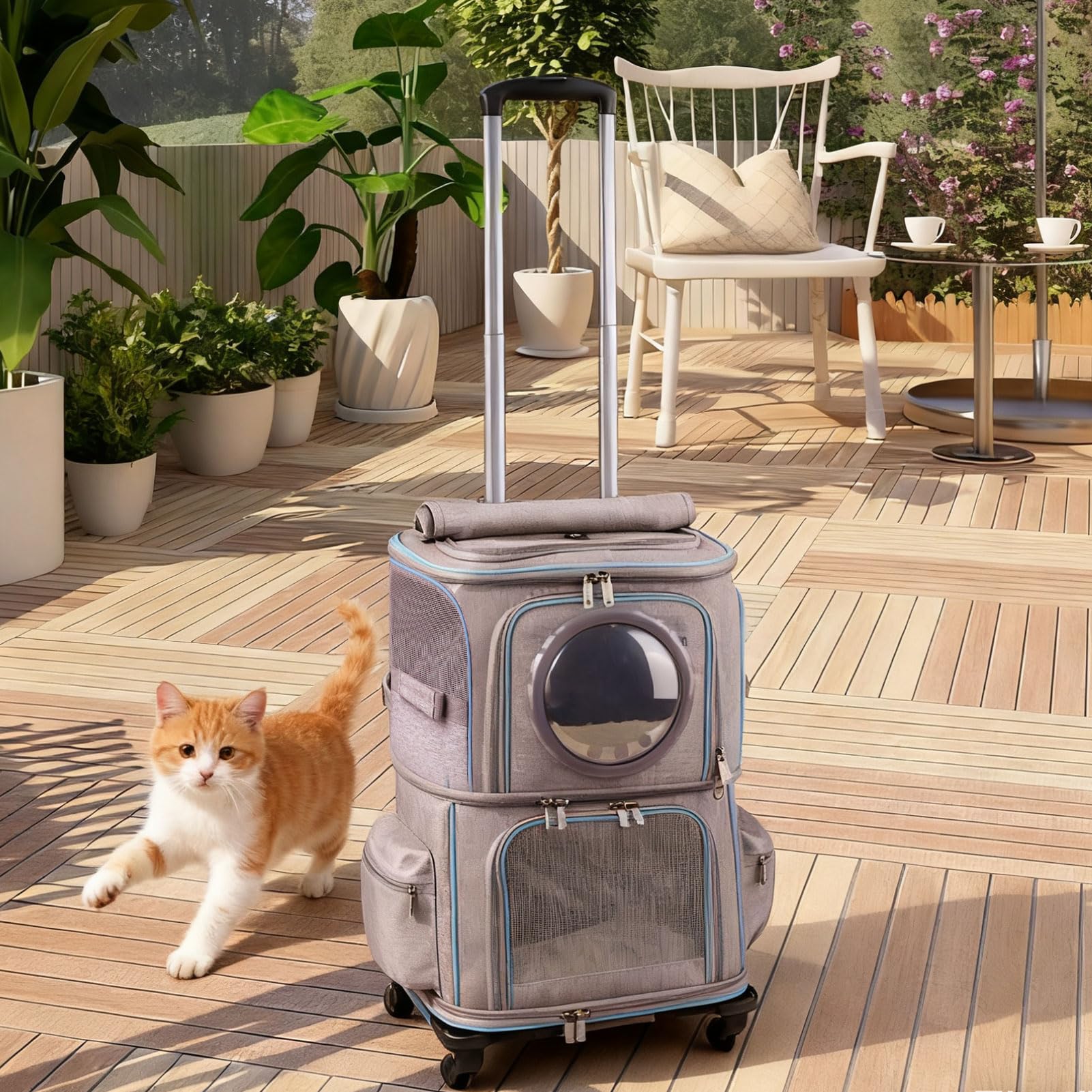 Halinfer uso exterior senderismo, perfecto para explorar con gatos o perros.