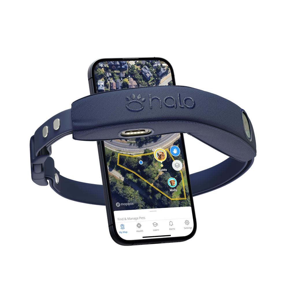 Halo Collar 4: cerca GPS para perros, ayuda a mantener al perro dentro de límites seguros.