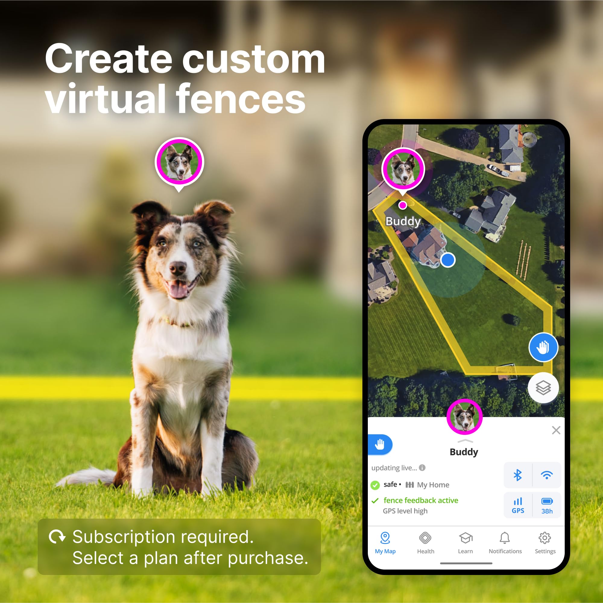 Halo Collar 4: ubicación en tiempo real para ver movimientos del perro.