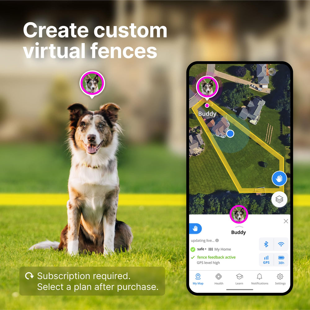 Halo Collar 4: ubicación en tiempo real para ver movimientos del perro.