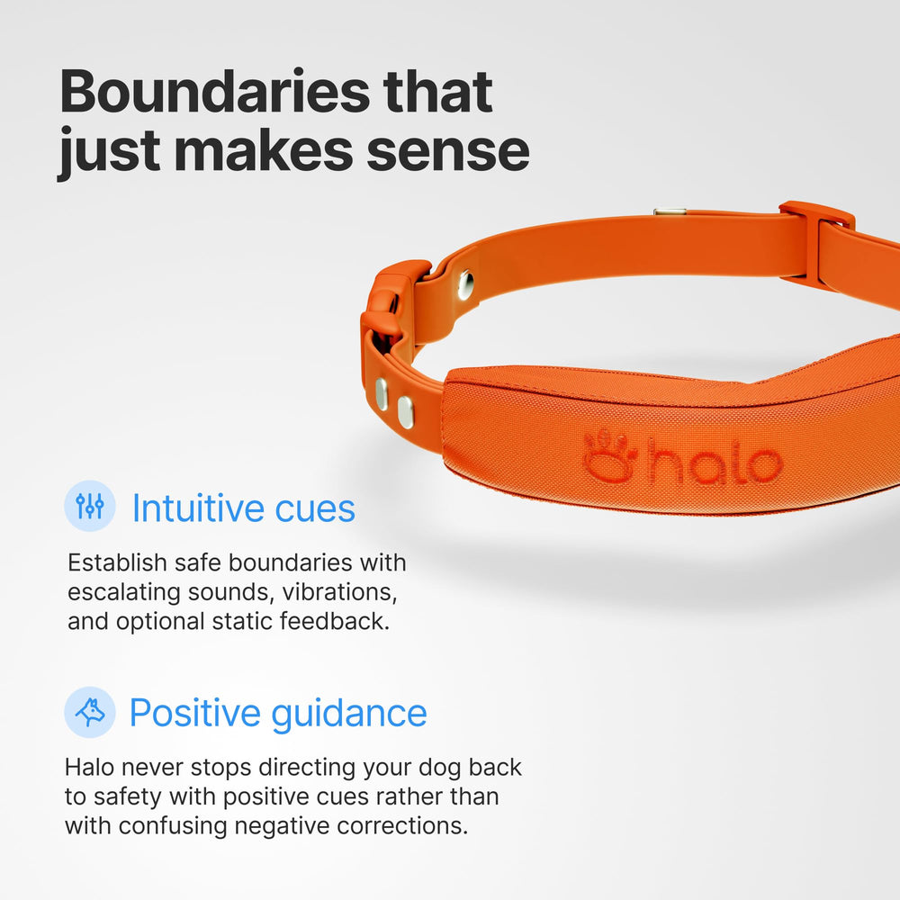 Halo Collar 5 ajuste para perros de diferentes tamaños