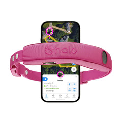 Halo Collar 5 colocado en el cuello del perro para un ajuste cómodo y seguro.