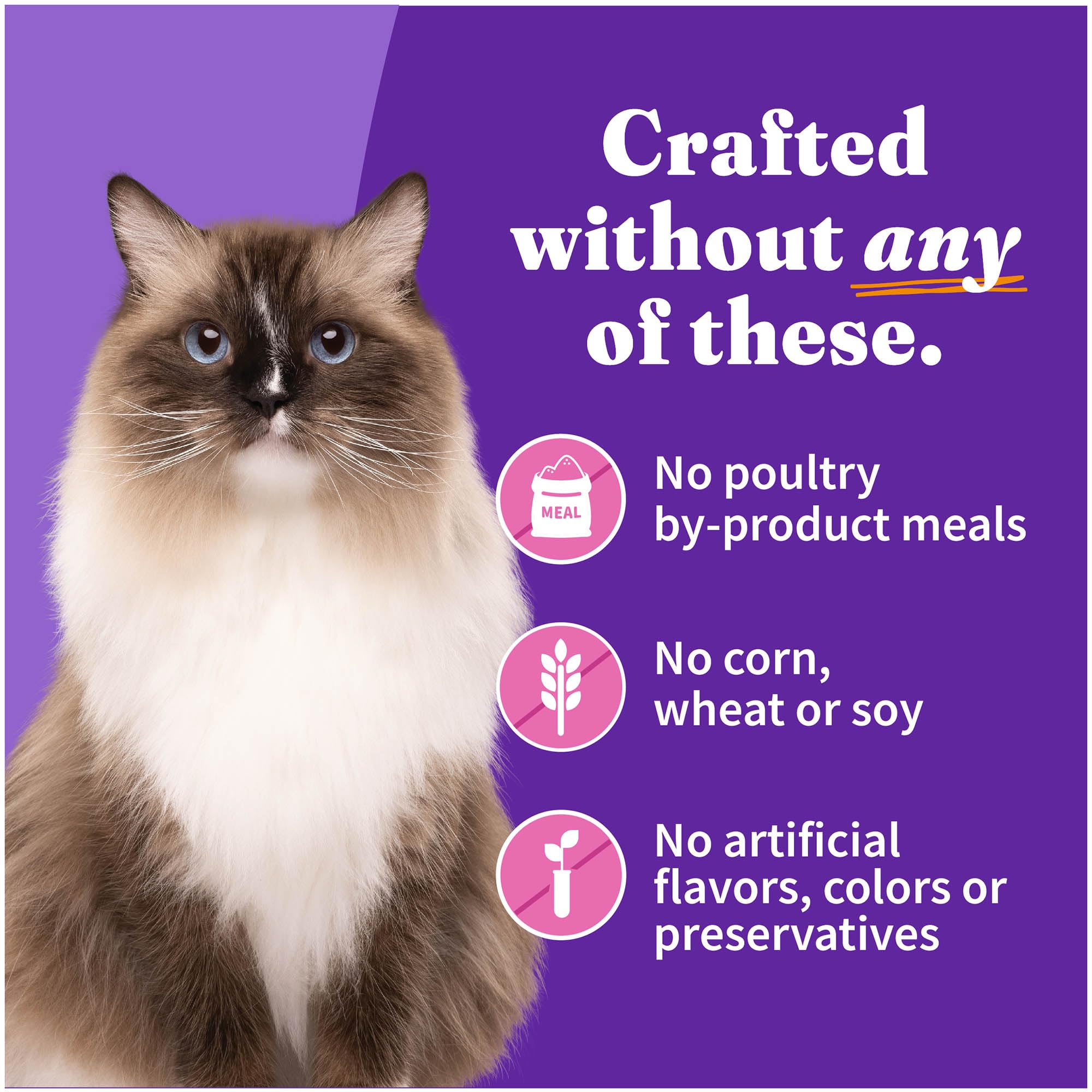 Halo añade hidratación extra con su comida húmeda para gatos.