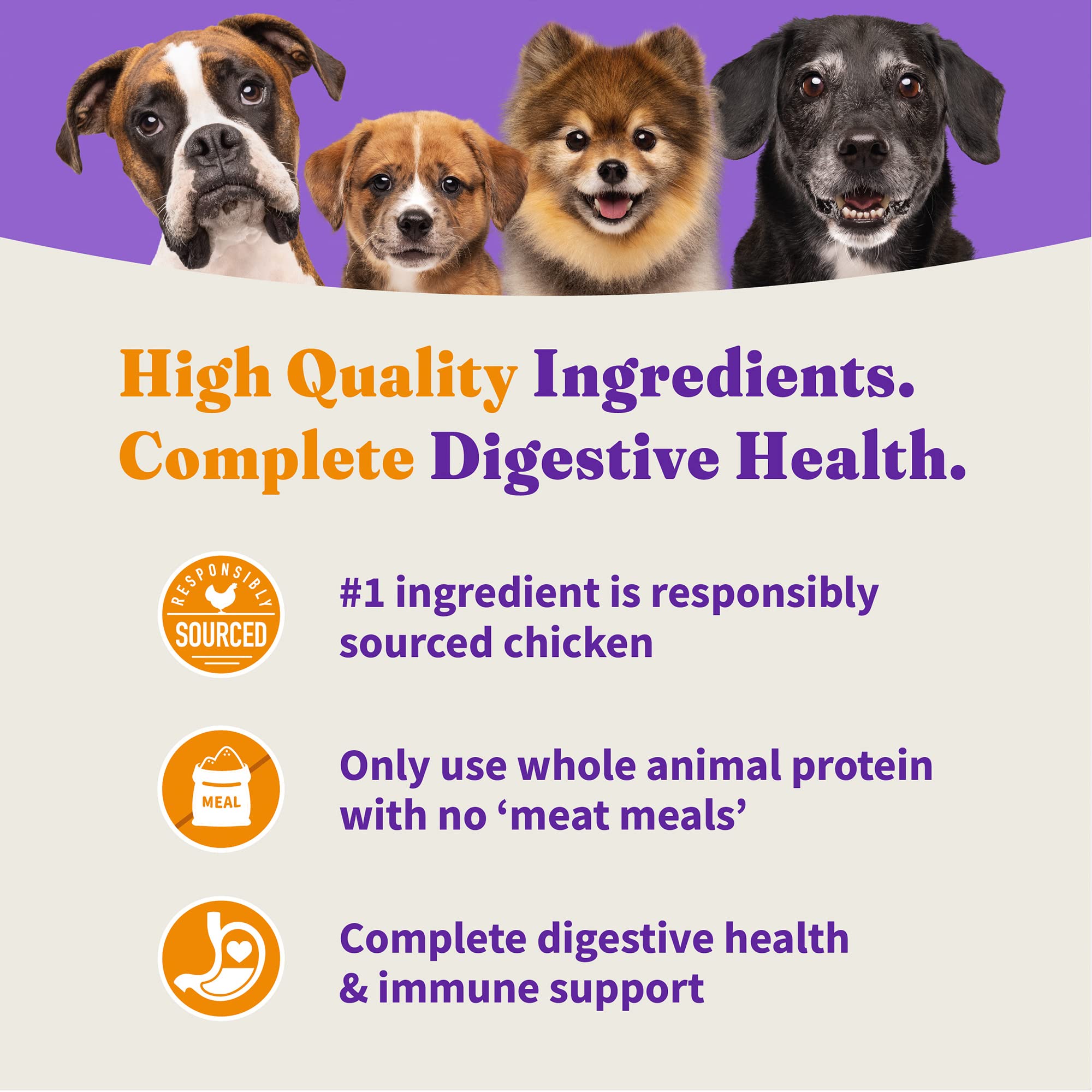 Halo Holistic: arroz integral y pollo, base digestiva de calidad.