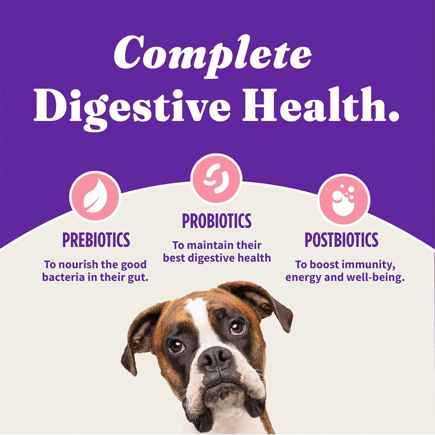Halo Holistic, soporte digestivo e inmunológico para perros activos.
