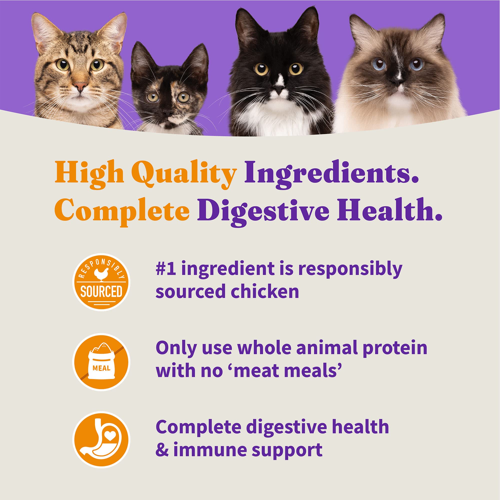 Halo Holistic omega para piel y pelaje saludables de gatos.