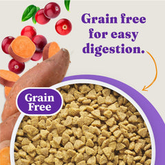 Halo Holistic receta para piel y pelaje con omega, brillo saludable.
