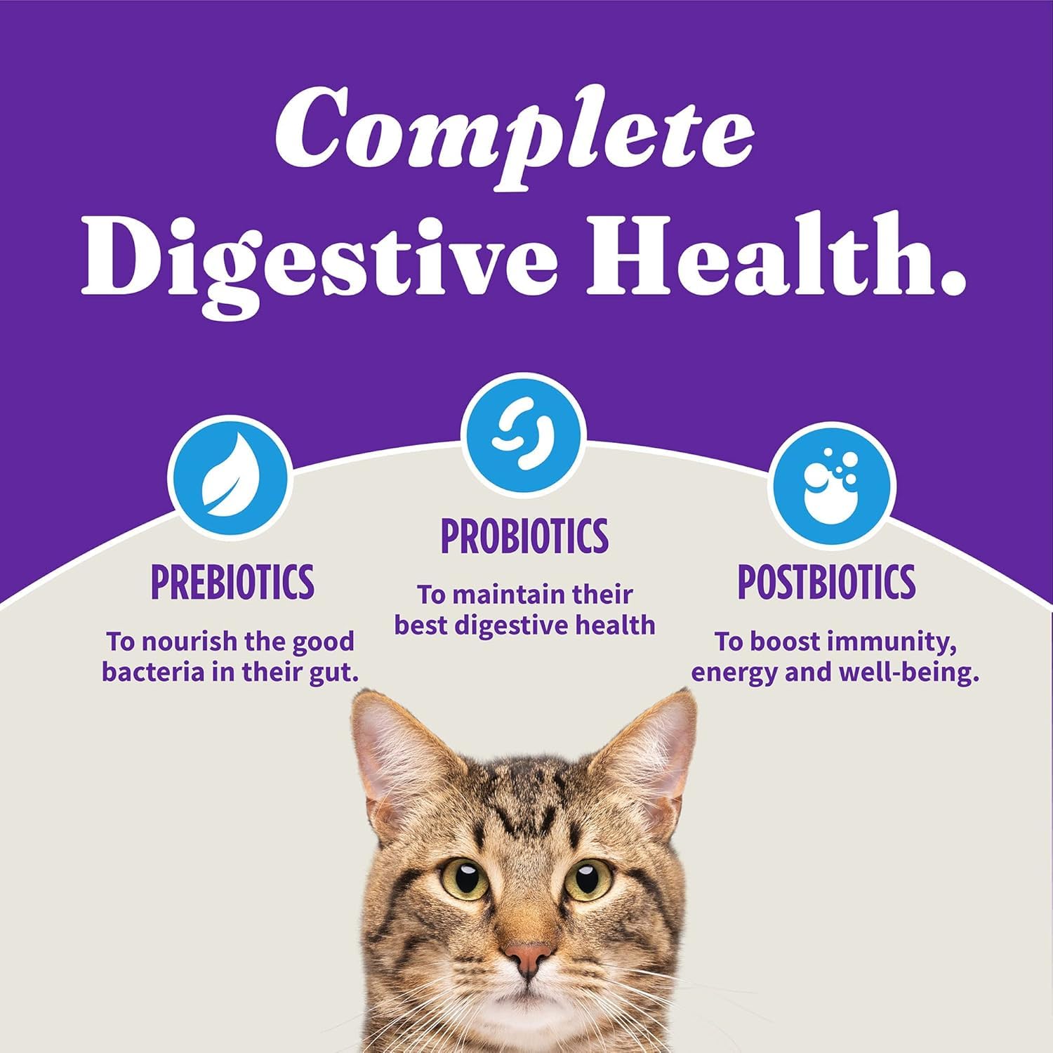 Halo Holistico Gato Trucha Salvaje: nutrición equilibrada con vitaminas y minerales
