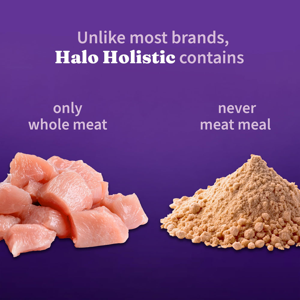 Halo Holístico tazón de comida seca, presentación apetitosa para gatos.